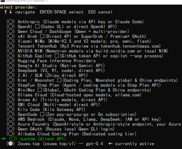 Codex 选择走蛙 provider